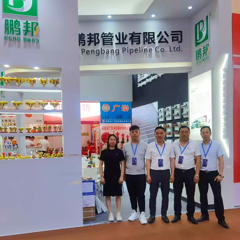 Explorando nuevas oportunidades en la exposición Fujian 2020