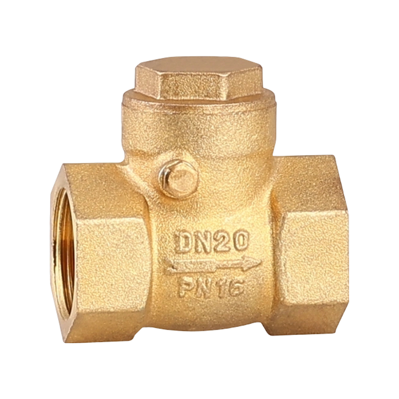 Válvula de retención oscilante de latón de 1 pulgada para agua