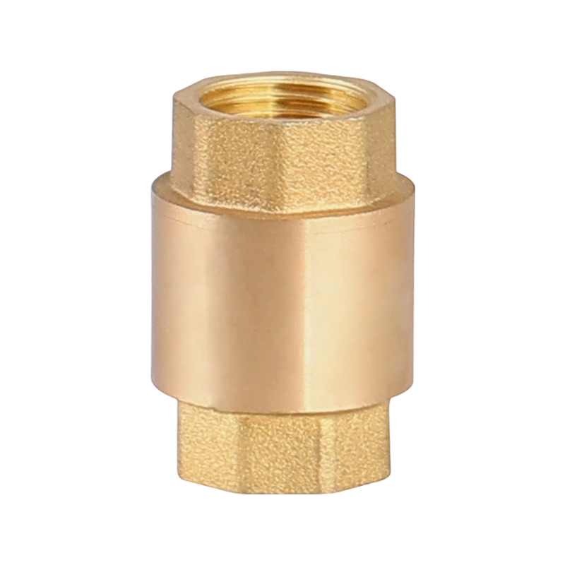 Válvula de retención vertical con núcleo de válvula de latón de 1/2-2 pulgadas